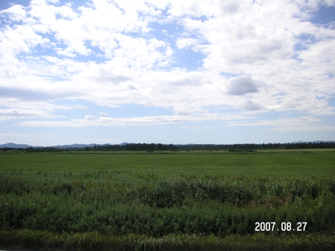s_PICT0229.jpg